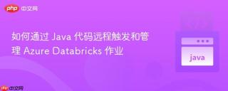 如何通过 Java 代码远程触发和管理 Azure Databricks 作业