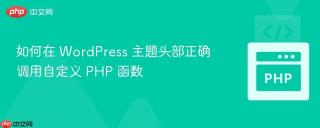 如何在 WordPress 主题头部正确调用自定义 PHP 函数