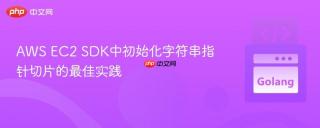 AWS EC2 SDK中初始化字符串指针切片的最佳实践