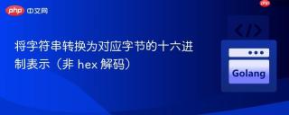 将字符串转换为对应字节的十六进制表示（非 hex 解码）
