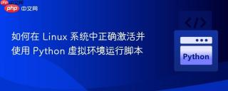 如何在 Linux 系统中正确激活并使用 Python 虚拟环境运行脚本