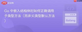 Go 中嵌入结构体时如何正确调用子类型方法（而非父类型默认方法）
