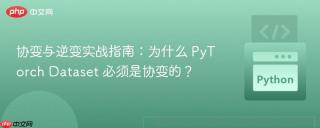 协变与逆变实战指南：为什么 PyTorch Dataset 必须是协变的？