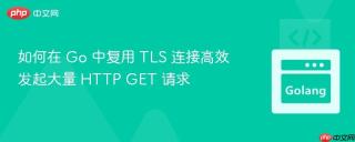 如何在 Go 中复用 TLS 连接高效发起大量 HTTP GET 请求