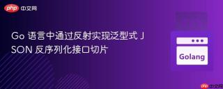 Go 语言中通过反射实现泛型式 JSON 反序列化接口切片