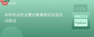 如何在动态设置对象属性时实现自动验证
