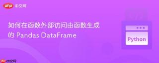 如何在函数外部访问由函数生成的 Pandas DataFrame