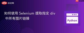 如何使用 Selenium 提取指定 div 中所有图片链接