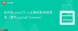 如何在 macOS 上正确获取系统信息（替代 syscall.Uname）