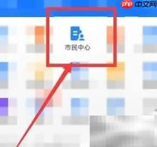 电子保单审车年检指南