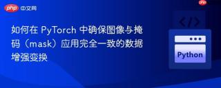 如何在 PyTorch 中确保图像与掩码（mask）应用完全一致的数据增强变换