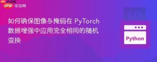 如何确保图像与掩码在 PyTorch 数据增强中应用完全相同的随机变换