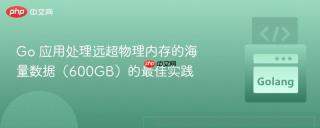 Go 应用处理远超物理内存的海量数据（600GB）的最佳实践