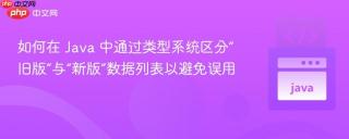 如何在 Java 中通过类型系统区分“旧版”与“新版”数据列表以避免误用