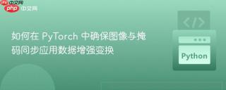 如何在 PyTorch 中确保图像与掩码同步应用数据增强变换