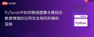 PyTorch中如何确保图像与掩码在数据增强时应用完全相同的随机变换