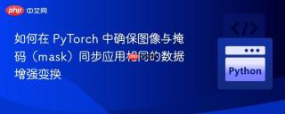 如何在 PyTorch 中确保图像与掩码（mask）同步应用相同的数据增强变换