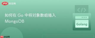 如何在 Go 中将对象数组插入 MongoDB