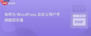 如何为 WordPress 自定义用户字段赋固定值