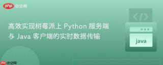 高效实现树莓派上 Python 服务端与 Java 客户端的实时数据传输