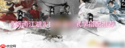 烟雨江湖白鹭加点与武学搭配攻略 烟雨江湖白鹭最强武学搭配推荐