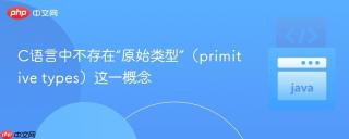 C语言中不存在“原始类型”（primitive types）这一概念