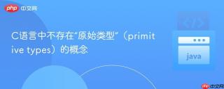 C语言中不存在“原始类型”（primitive types）的概念