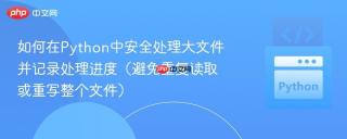 如何在Python中安全处理大文件并记录处理进度(避免重复读取或重写整个文件)