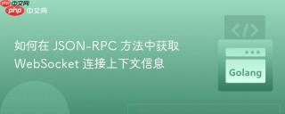 如何在 JSON-RPC 方法中获取 WebSocket 连接上下文信息