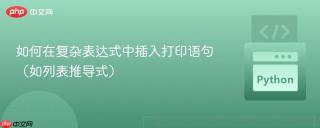 如何在复杂表达式中插入打印语句（如列表推导式）