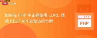 如何在 PHP 中正确使用 cURL 调用 REST API 获取访问令牌