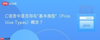 C语言中是否存在“基本类型”（Primitive Types）概念？
