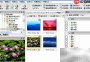 如何打开NEF格式照片