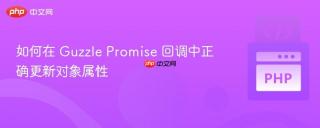 如何在 Guzzle Promise 回调中正确更新对象属性