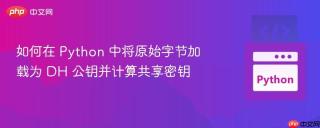 如何在 Python 中将原始字节加载为 DH 公钥并计算共享密钥