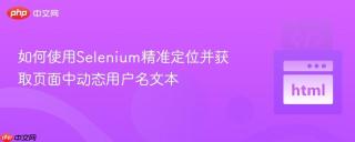 如何使用Selenium精准定位并获取页面中动态用户名文本