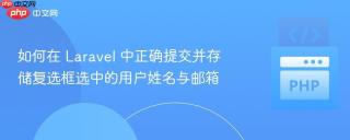 如何在 Laravel 中正确提交并存储复选框选中的用户姓名与邮箱