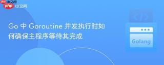 Go 中 Goroutine 并发执行时如何确保主程序等待其完成