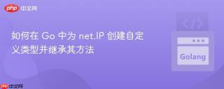 如何在 Go 中为 net.IP 创建自定义类型并继承其方法