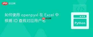 如何使用 openpyxl 在 Excel 中根据 ID 查找对应用户名