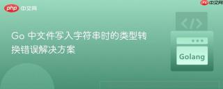 Go 中文件写入字符串时的类型转换错误解决方案