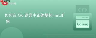 如何在 Go 语言中正确复制 net.IP 值