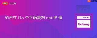 如何在 Go 中正确复制 net.IP 值