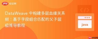 DataWeave 中构建多层血缘关系树:基于字段组合匹配的父子层级推导教程