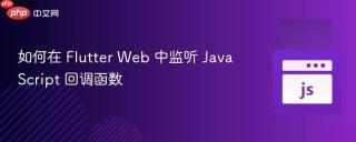 如何在 Flutter Web 中监听 JavaScript 回调函数
