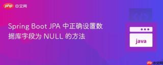 Spring Boot JPA 中正确设置数据库字段为 NULL 的方法