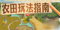 时光杂货店农田怎么玩 时光杂货店农田攻略
