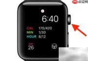 查找Apple Watch序列号与IMEI