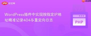 WordPress插件中实现按指定IP地址精准记录404与重定向日志
