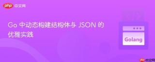 Go 中动态构建结构体与 JSON 的优雅实践